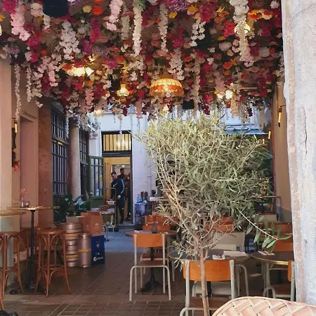La Terrasse Des Amandiers - Clim - Centre Перпиньан